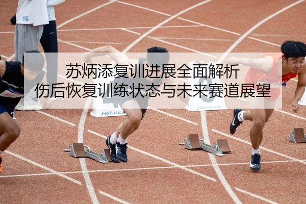 苏炳添复训进展全面解析 伤后恢复训练状态与未来赛道展望